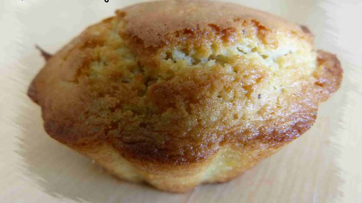 Adorables muffins moelleux aux amandes et au chocolat