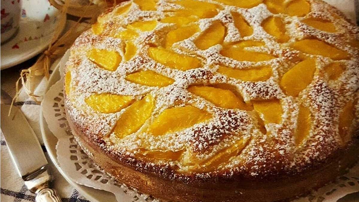 Gâteau moelleux aux mandarines