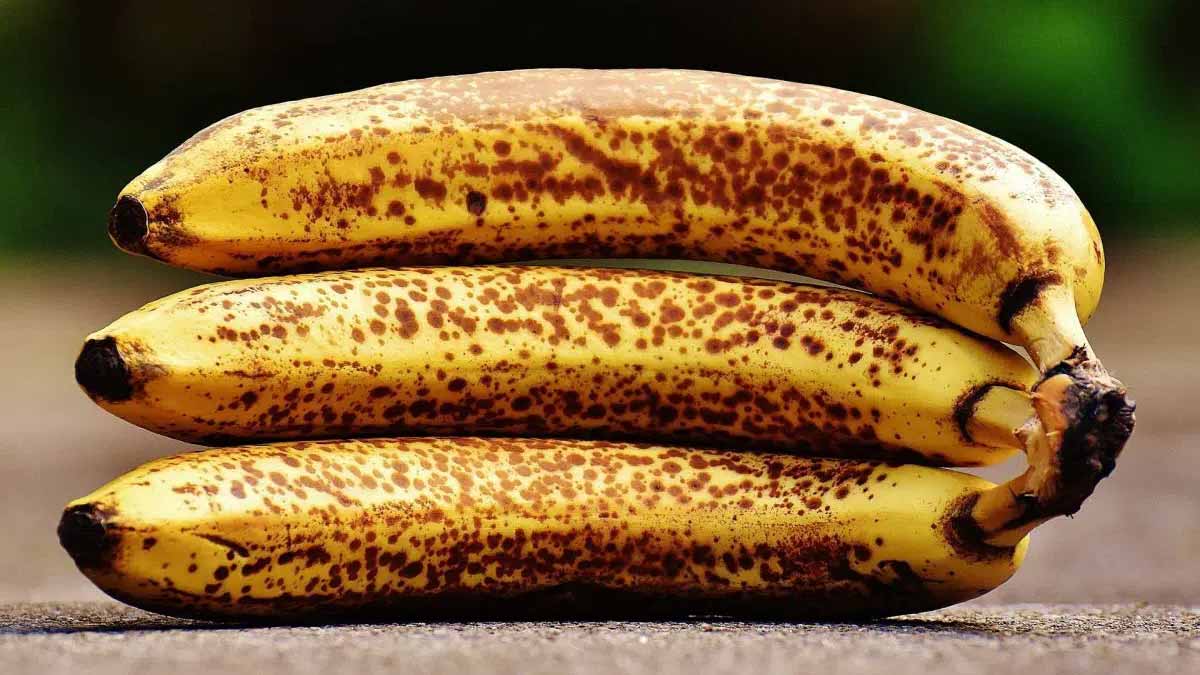 bienfaits des bananes