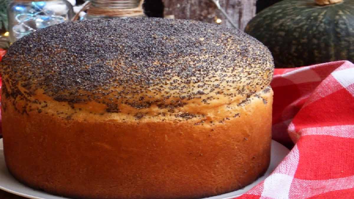 Base parfaite pour le panettone gastronomique