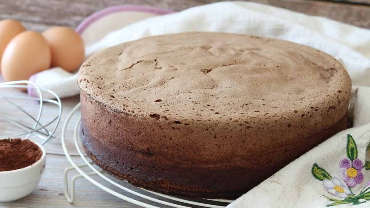 gâteau éponge au cacao tellement doux