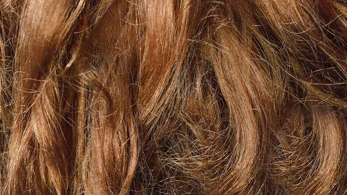 cheveux abîmés et cassants