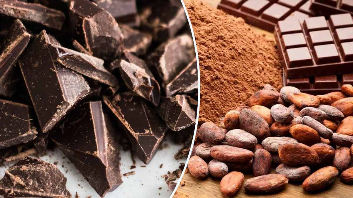 Chocolat noir, zoom sur ses avantages et la liste des 6 meilleurs chocolats noirs pour la santé