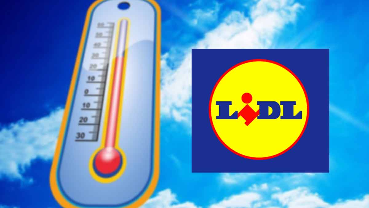 Affronter la canicule avec la meilleure arme proposée dans tous les magasins Lidl