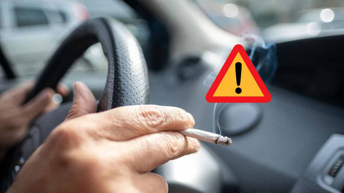 L’interdiction de la consommation de CBD pour tous les chauffeurs de sérieuses mesures prises pour le bien de la sécurité routière