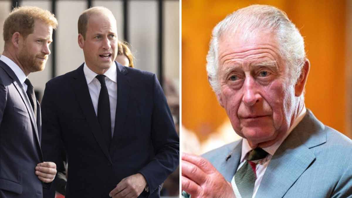 le-prince-william-et-le-prince-harry-reconcilies-la-publication-du-roi-charles-iii-qui-en-dit-long