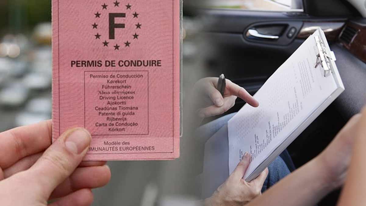 La liberté au volant découvrez toutes les règles inédites pour conserver vos précieux points de permis et les récupérer aisément