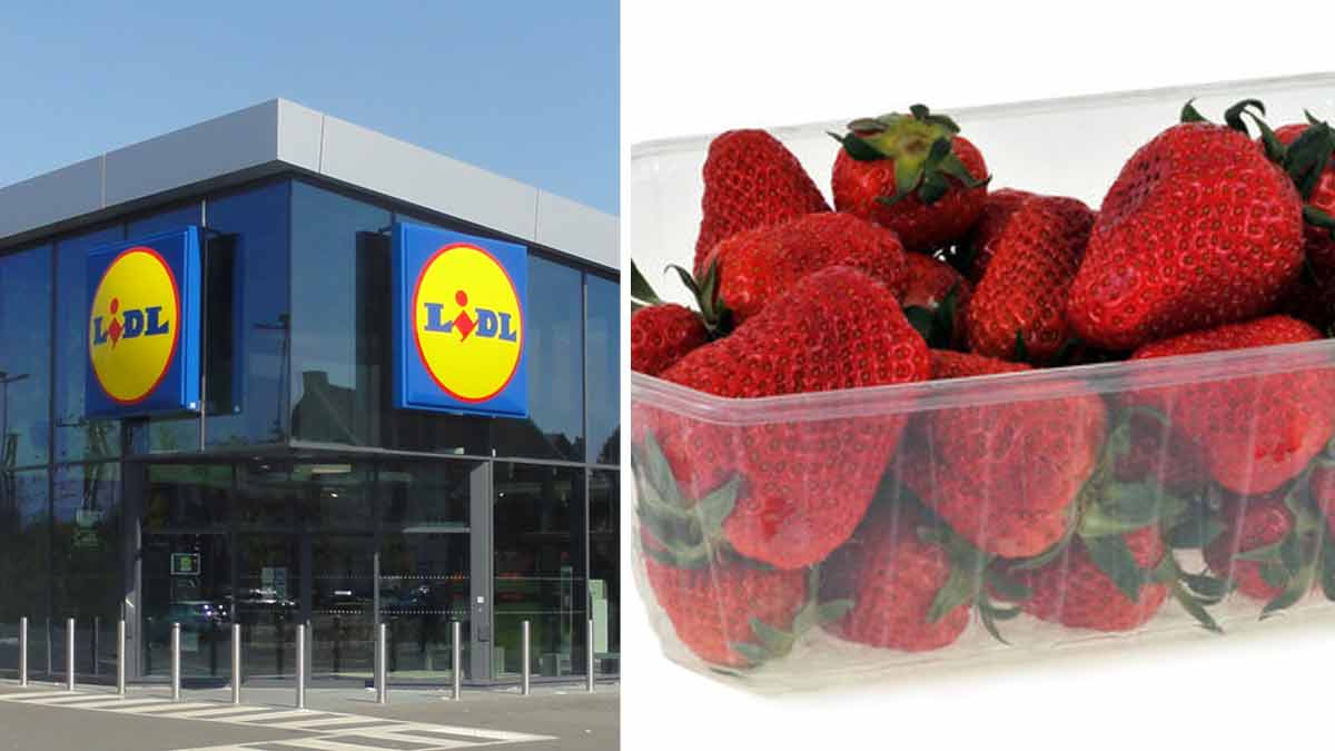 Une découverte terrifiante dans une barquette de fraises achetée dans l’un des magasins Lidl