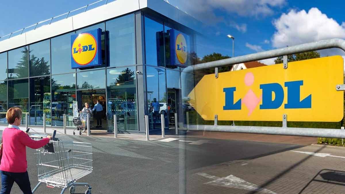 Un énorme choc chez Lidl une femme dépense 2000 euros en courses et c’est le supermarché qui encaisse