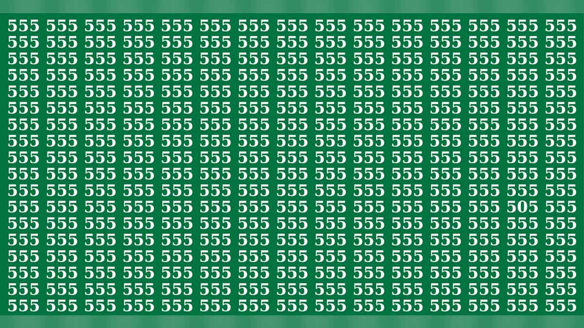 Une épreuve visuelle en exclusivité pouvez-vous détecter le 505 en l’espace d’une dizaine de secondes