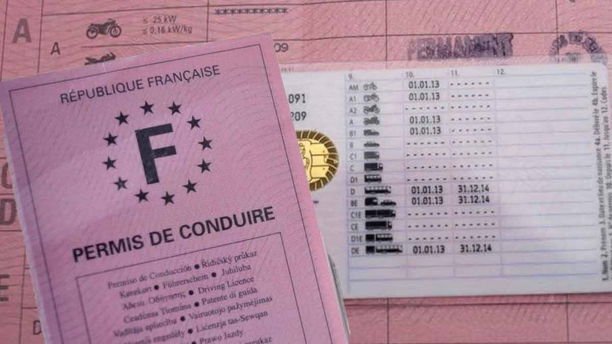 Vos points de permis