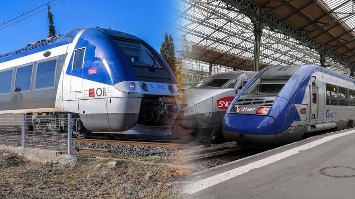 promotions-chez-la-sncf-les-billets-de-tgv-et-ter-font-lobjet-dune-reduction-pour-le-mois-de-septembre