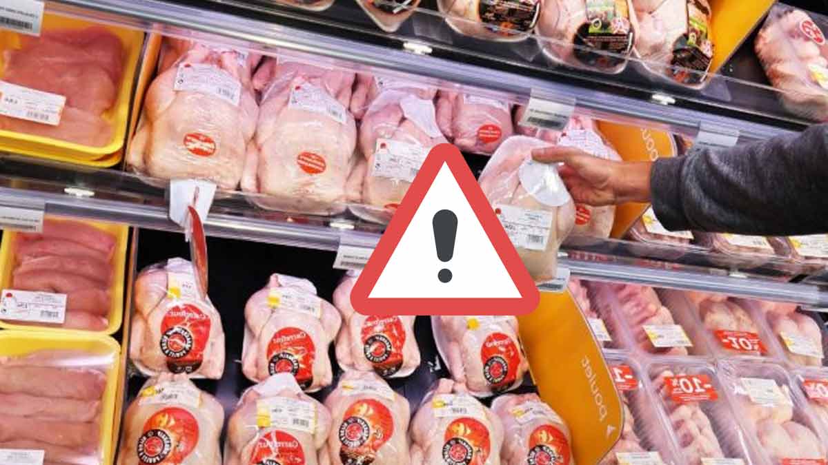 scandale-alimentaire-des-lots-de-dindes-contamines-plusieurs-supermarches-concernes-par-lalerte