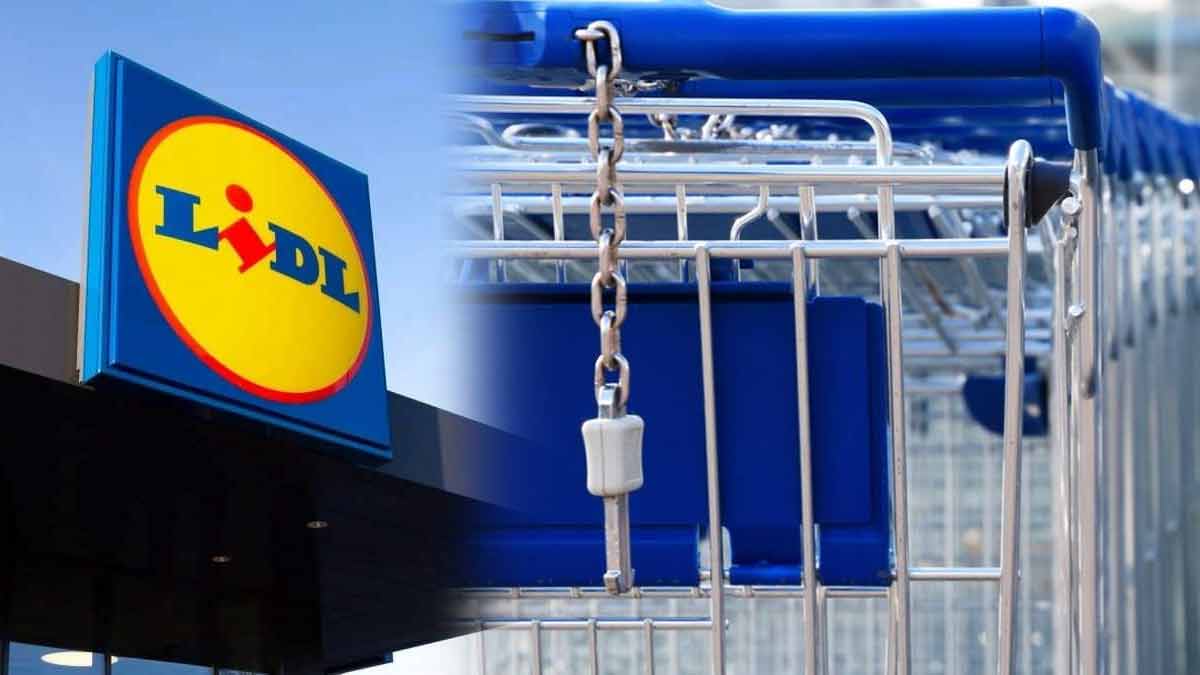 Le secret des jardins magnifiques à portée de main découvrez l’accessoire star de Lidl