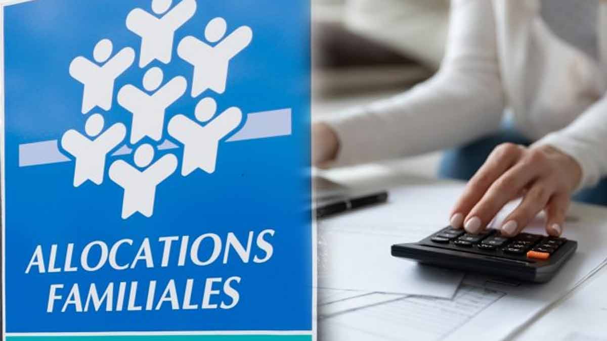 Les dates incontournables pour récolter votre trésor une opportunité à ne pas manquer