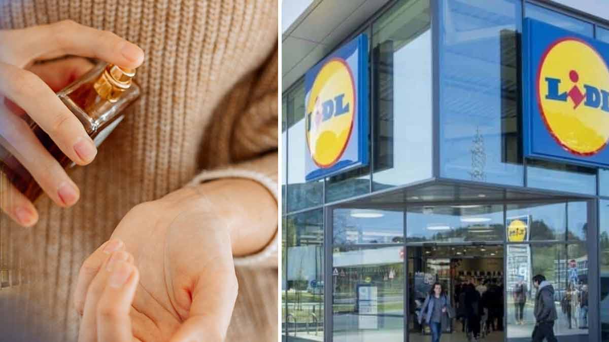 Lidl lance un parfum de luxe à moins de 5 euros une imitation irrésistible