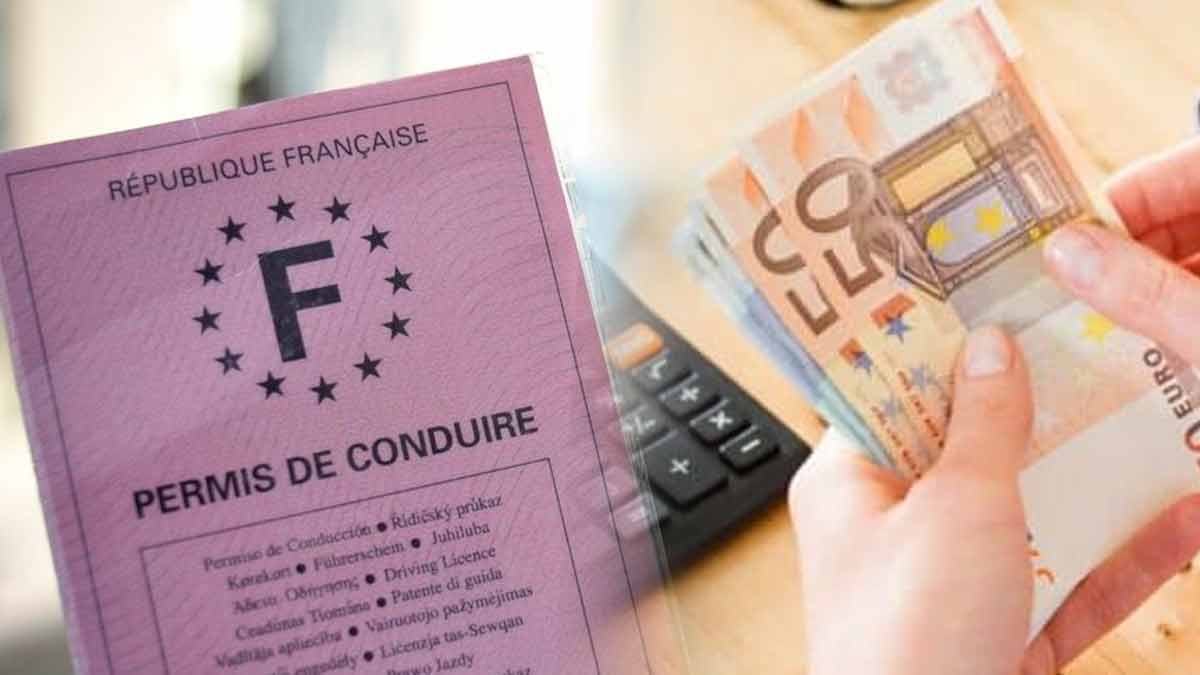 Une échéance critique remplacez vite votre permis cartonné pour éviter l’amende