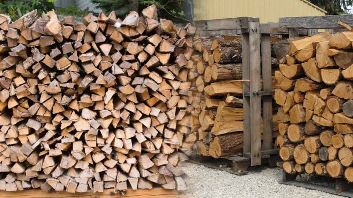 astuces-pour-renouveler-son-stock-en-bois-a-moindre-cout-pour-se-chauffer-lhiver