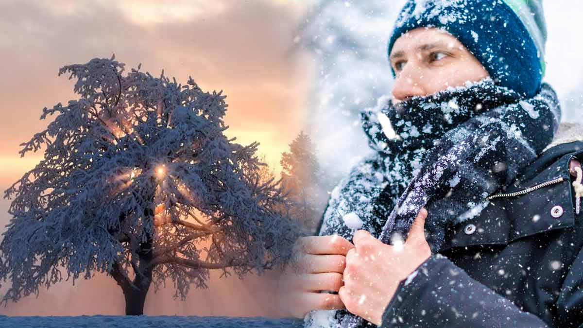 meteo-du-novembre-dernier-une-semaine-enneigee-et-un-grand-froid-pour-certains-departements