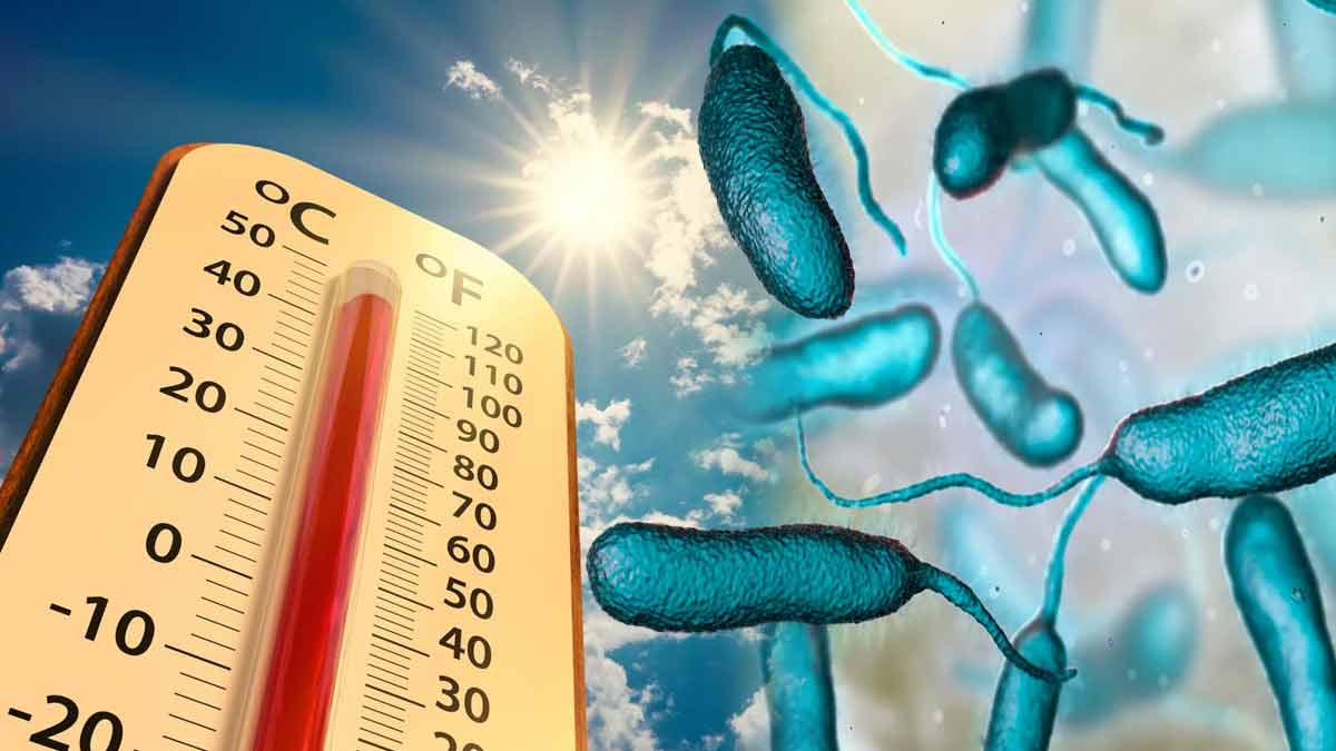 changement-climatique-la-sante-mondiale-en-danger-avec-davantage-de-diarrhees