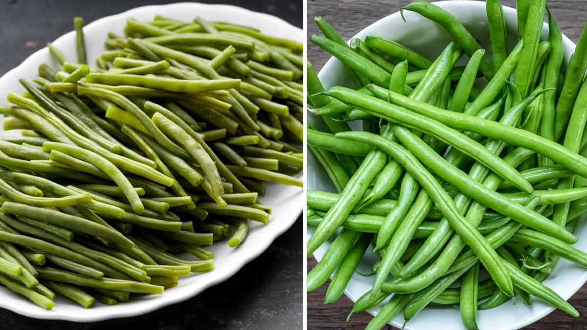 haricots-verts-la-verite-enfin-revelee-ils-ne-sont-pas-des-legumes