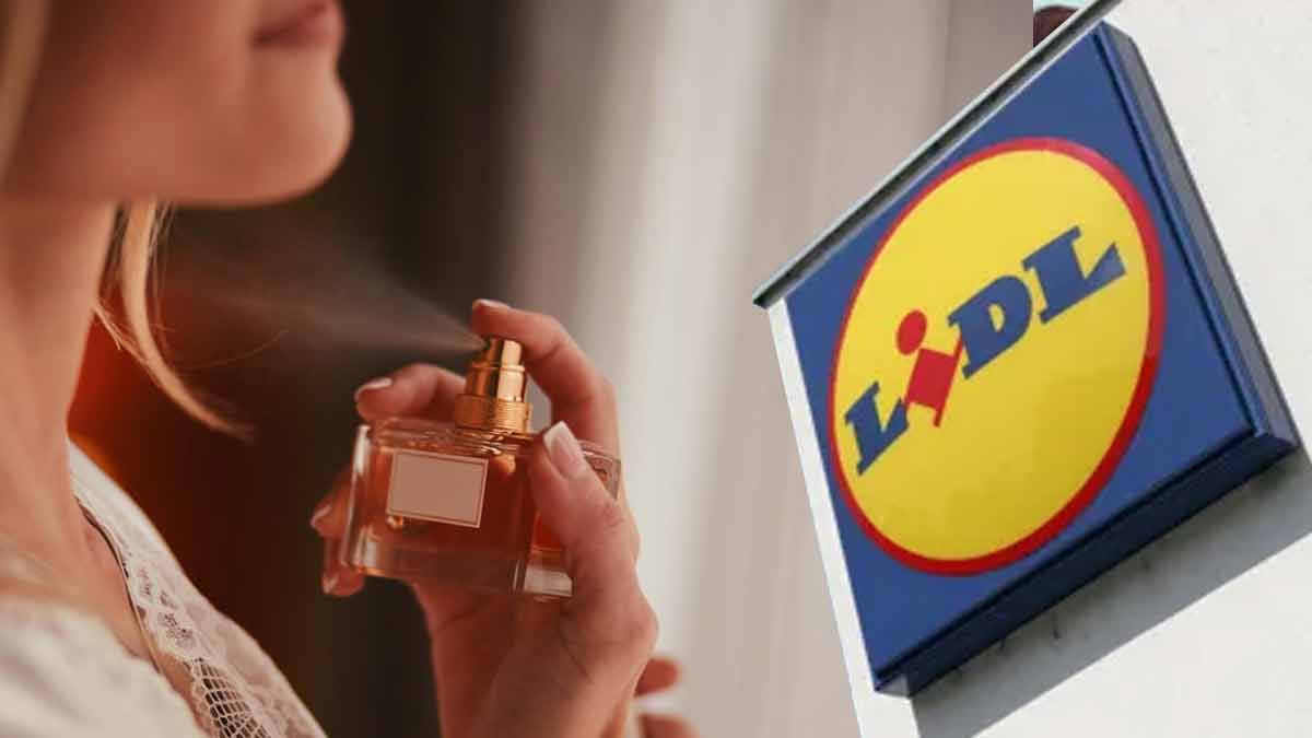 ne-manquez-pas-ces-7-dupes-de-parfums-de-lidl-qui-sont-proposees-a-prix-casse