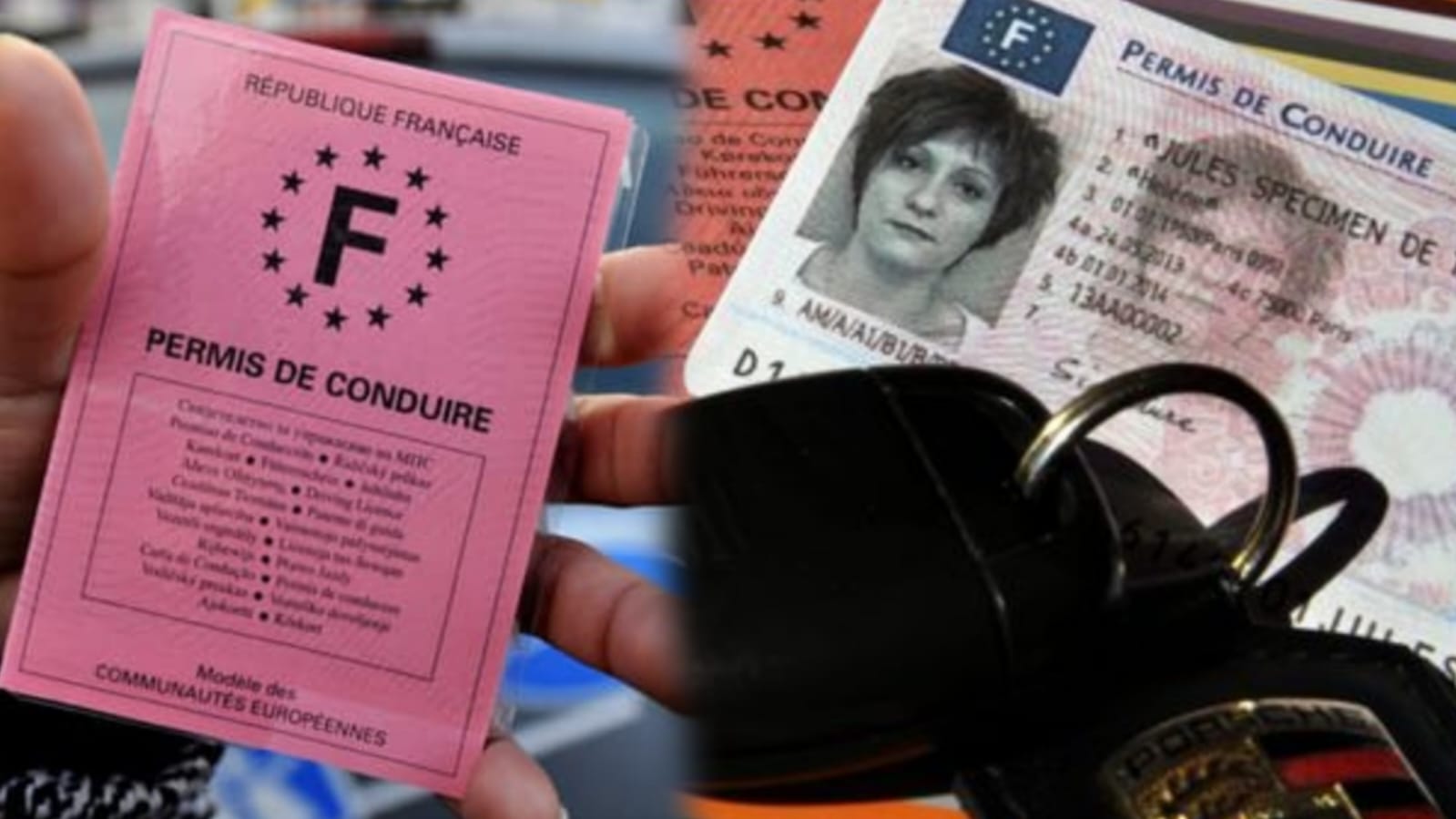 arnaque-au-permis-de-conduire-voici-comment-vous-proteger-des-malfaiteurs