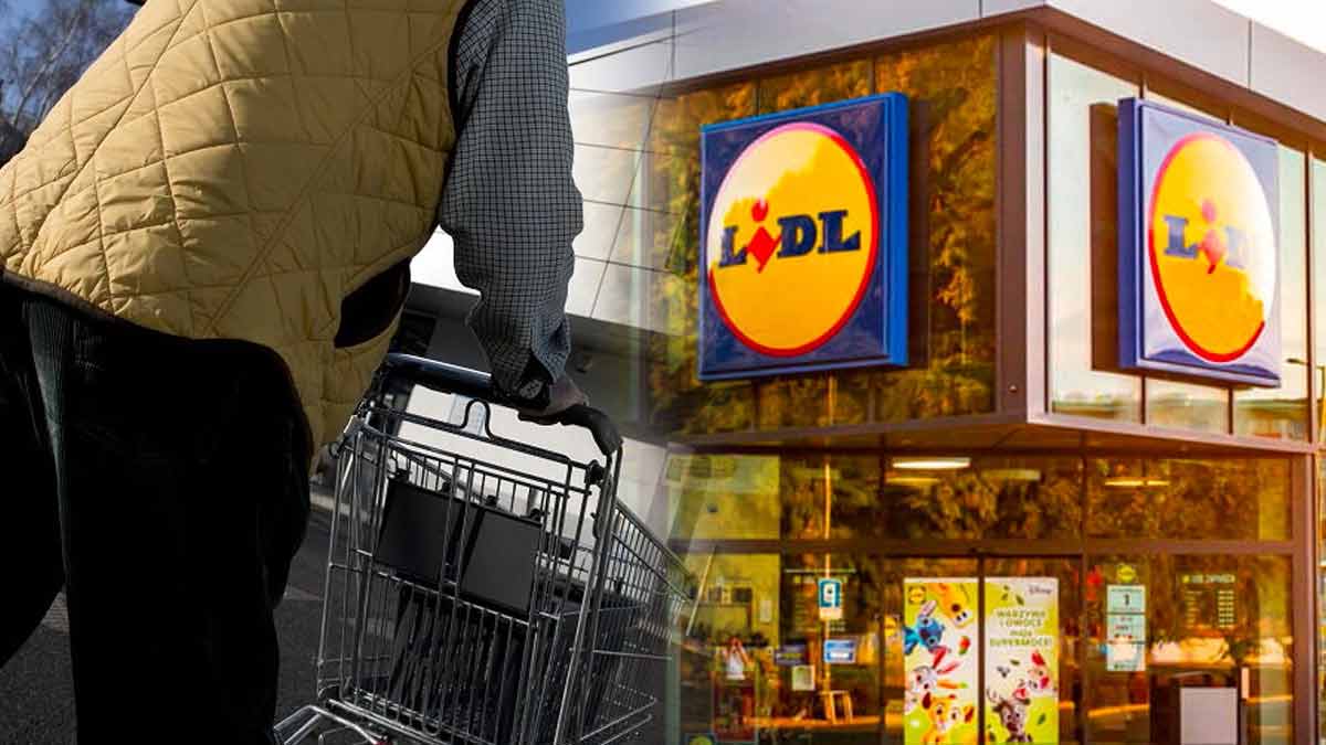 lidl-vigilance-est-de-mise-pour-ne-pas-se-faire-avec-par-cette-arnaque-de-faux-mail-de-lidl-elle-peut-vous-couter-tres-cher