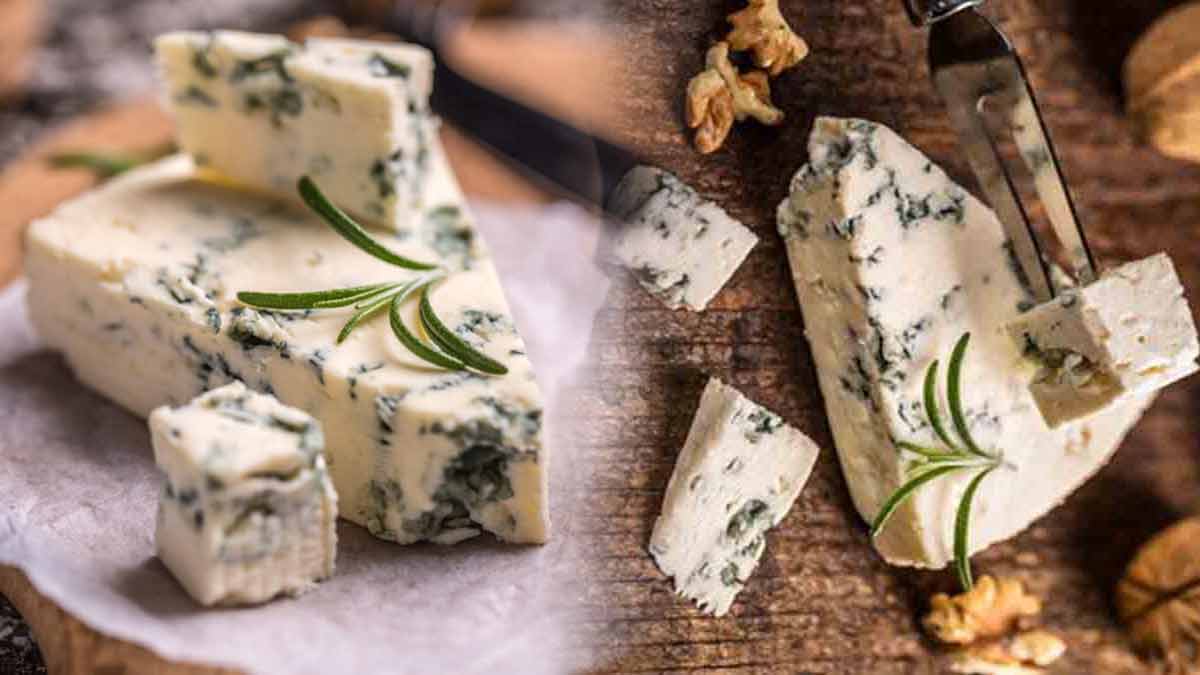 du-gorgonzola-rappele-de-la-contamination-a-la-listeria-en-cause