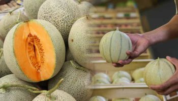 rappel-produit-des-melons-en-vente-chez-leclerc-rappeles-et-contamines-par-des-pesticides